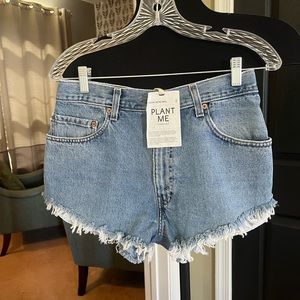Levi’s Urban Outfitters jean shorts size 2/4